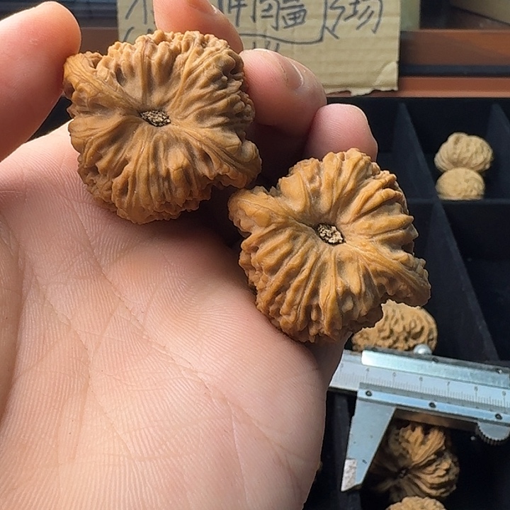 放***丶大叶紫檀（黑酸枝木类）