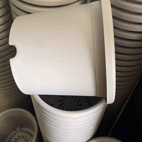 树脂四季3号微瑕灰白无托10个