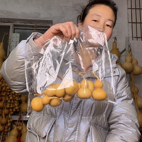 百****6天然植物葫芦文玩