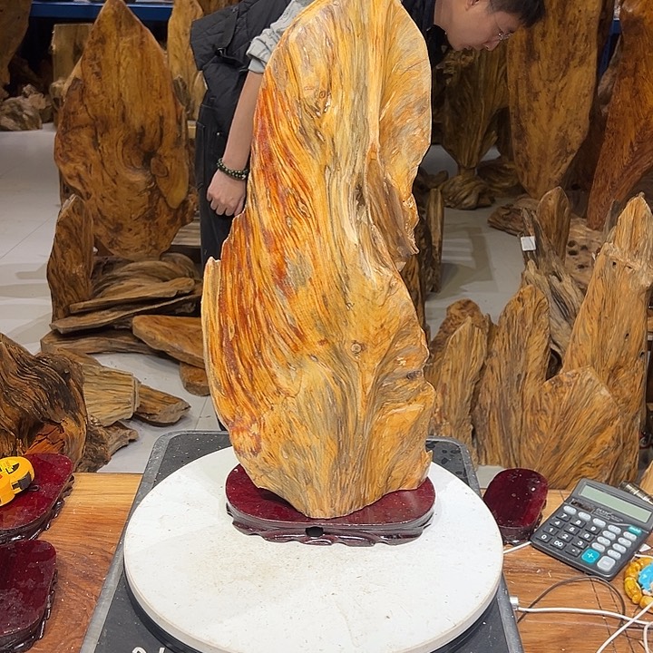 松木（琥珀木）大*