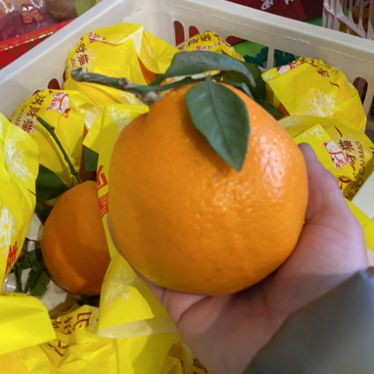 耙耙柑整箱装12.8斤框装