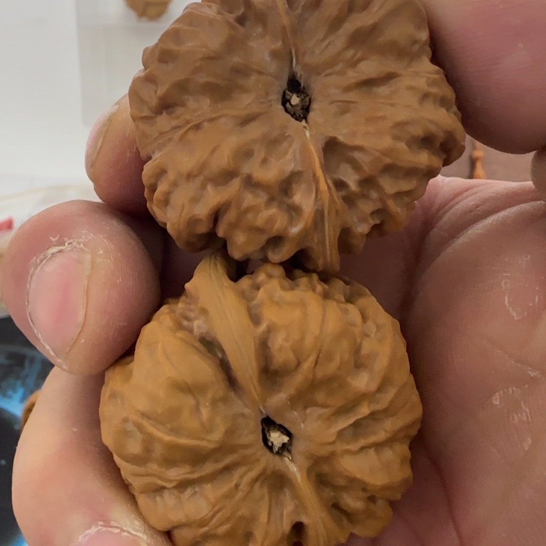 桃核把件王*.88888888