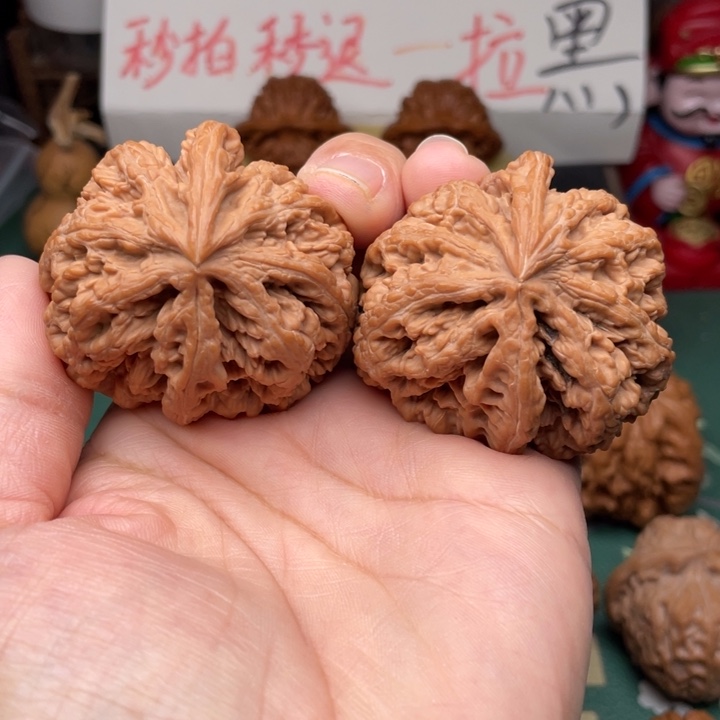 【闪购商品】把件文玩核桃如**水44+全品粗筋鹰嘴