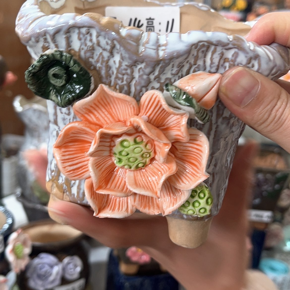 【闪购商品】红陶福利