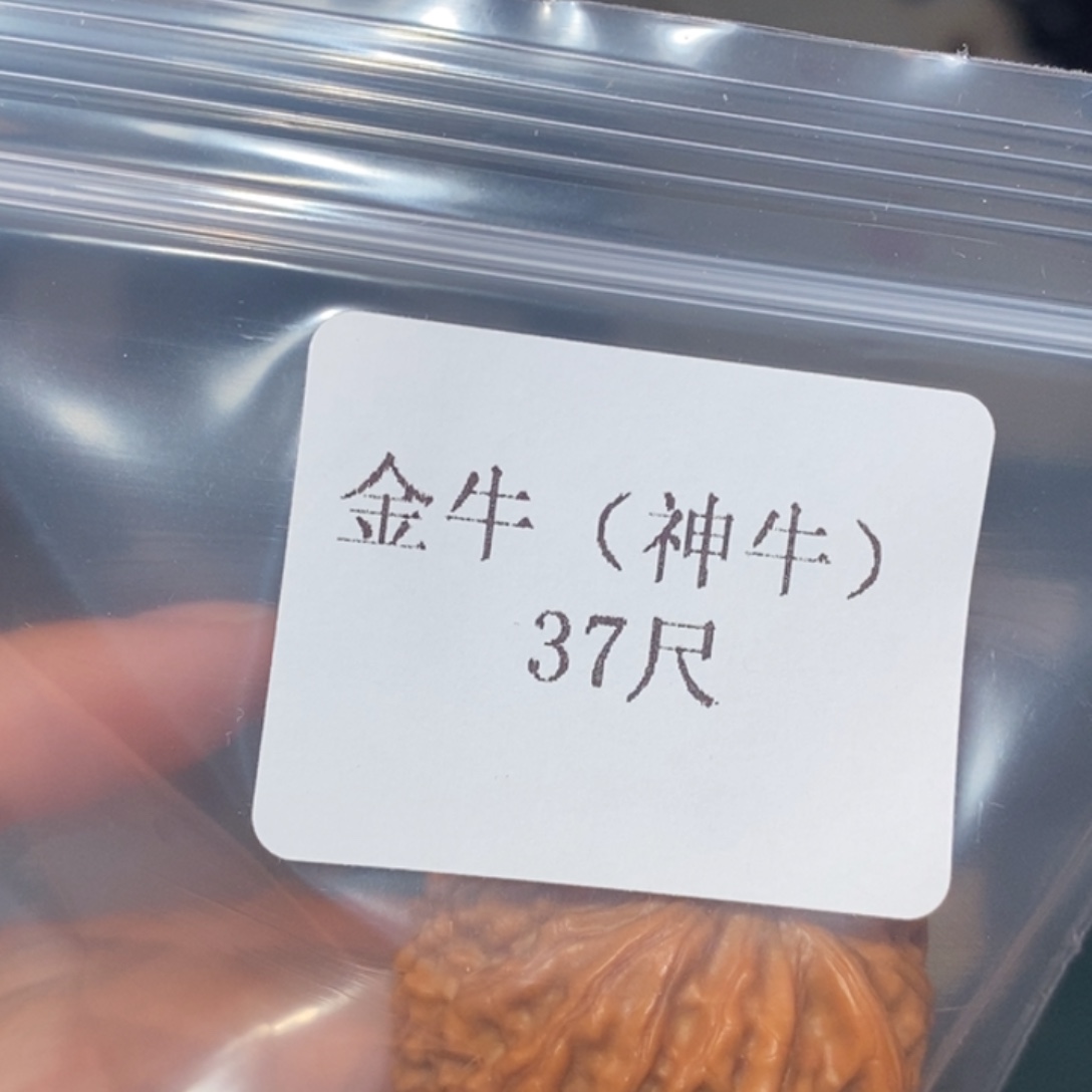 文玩核桃吊坠37神牛