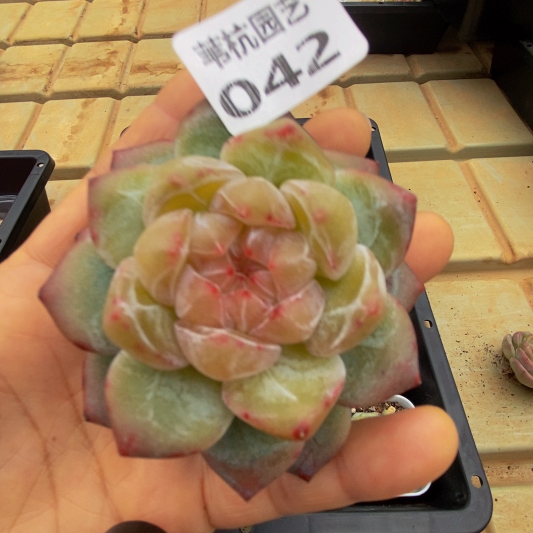 称***心042一物一拍的时候就会觉得自己