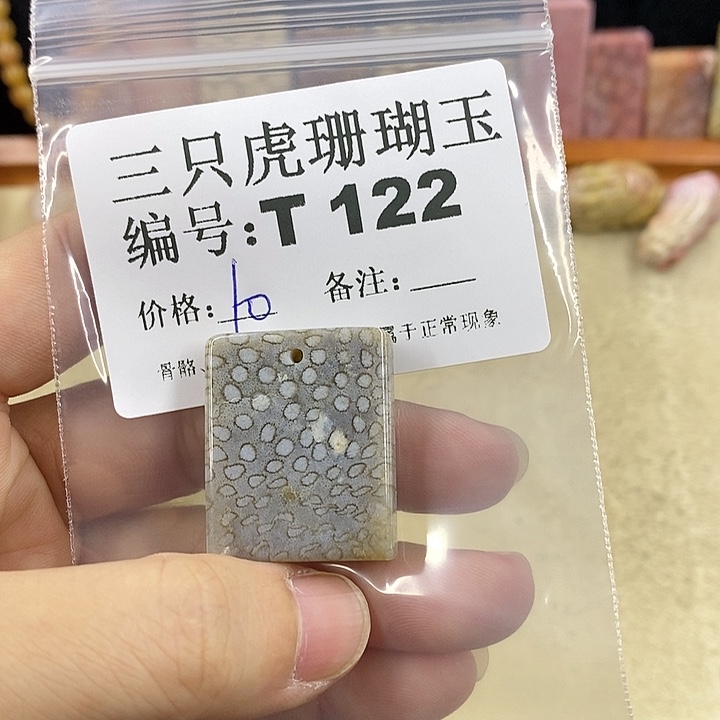 硅化珊瑚（珊瑚玉）1未镶嵌元*