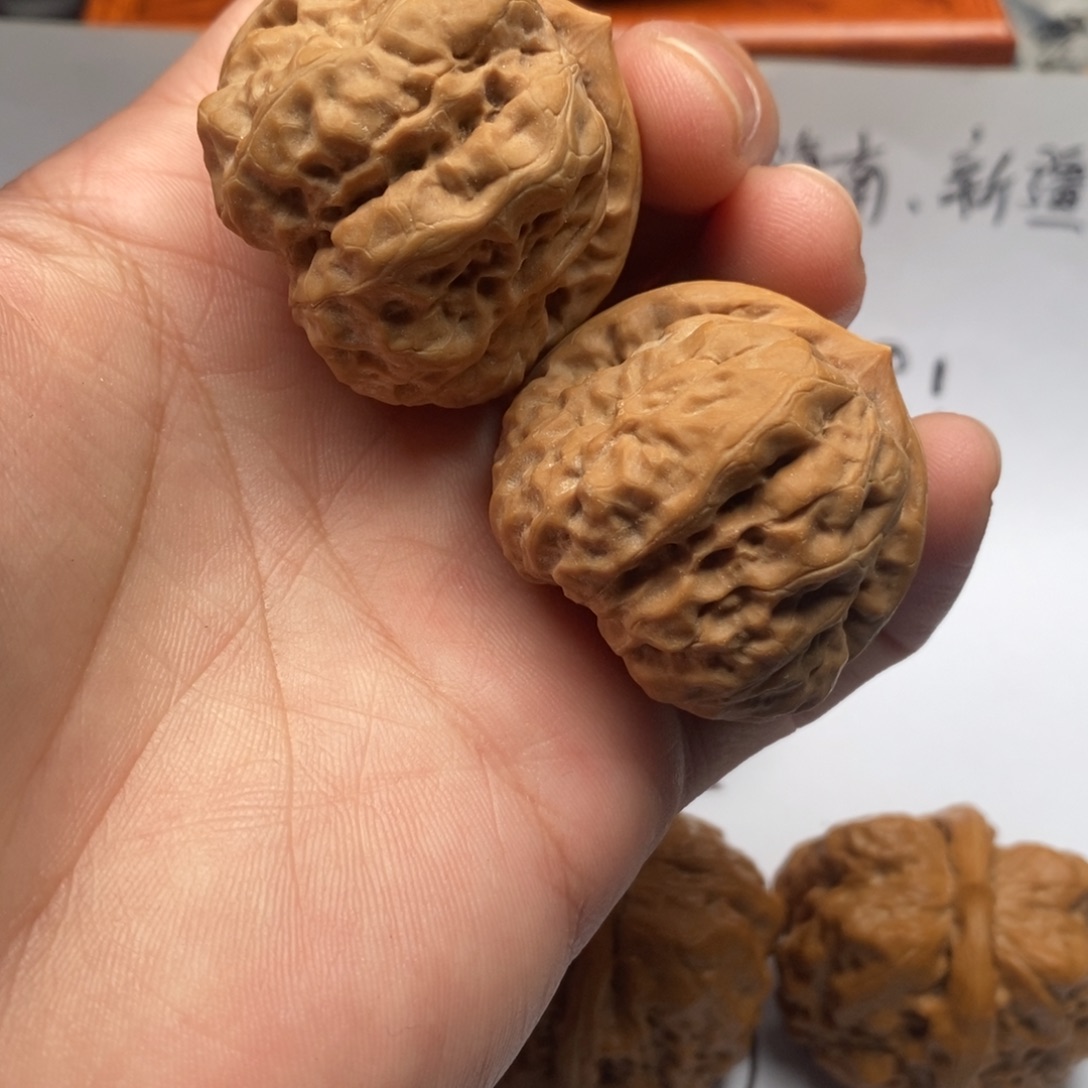 关***词好的我真的好喜欢这个节目