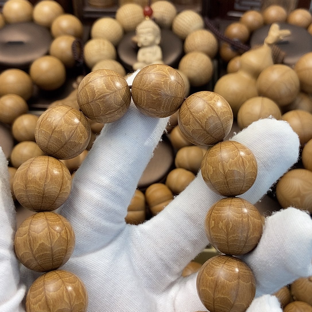 时***友六道木山西五台山