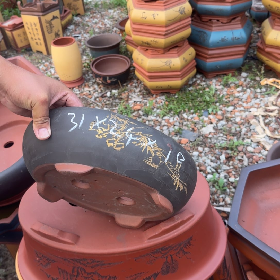 紫砂花盆紫砂花盆花盆盆景盆栽