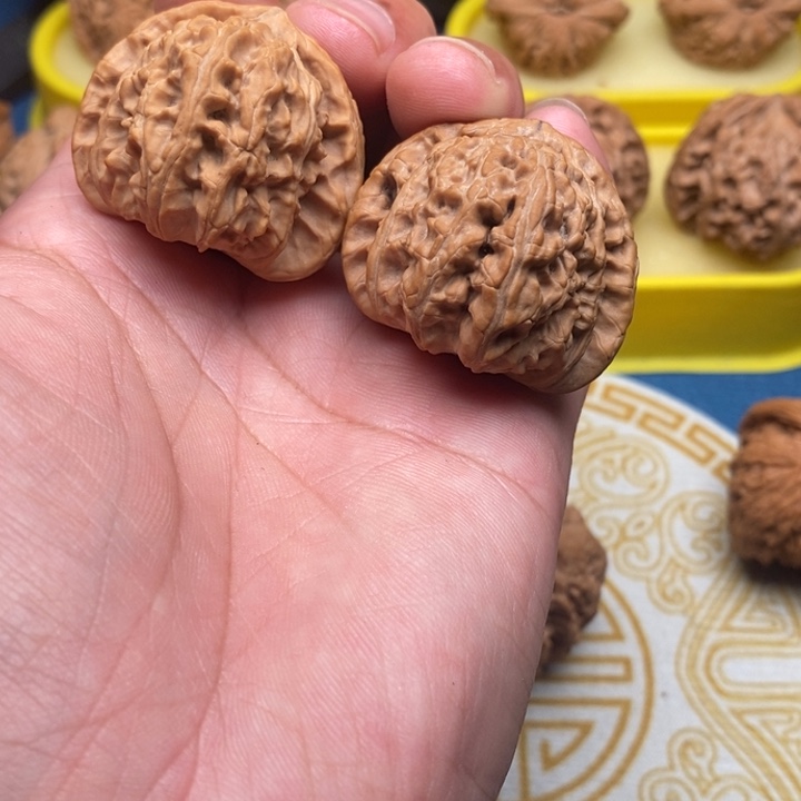 核桃手串/手链三角白狮子头38尺