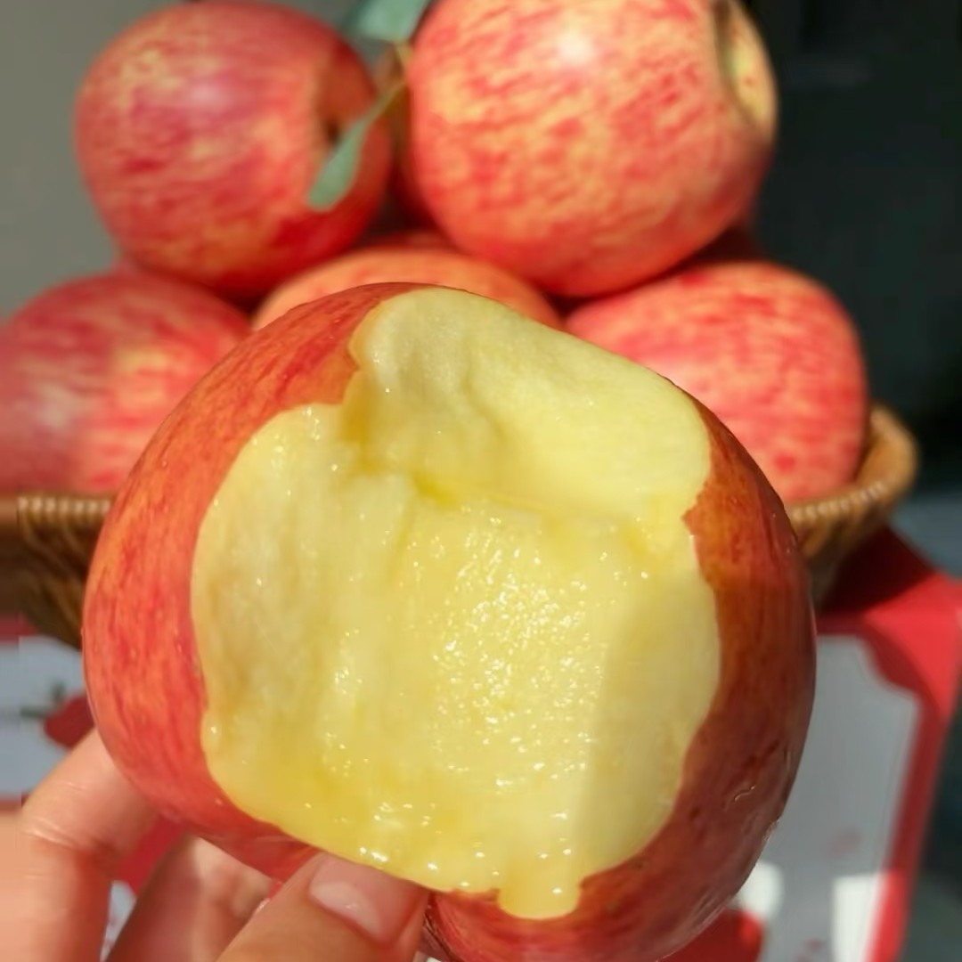 蒙阴红富士苹果纯出口一级优质果山东省