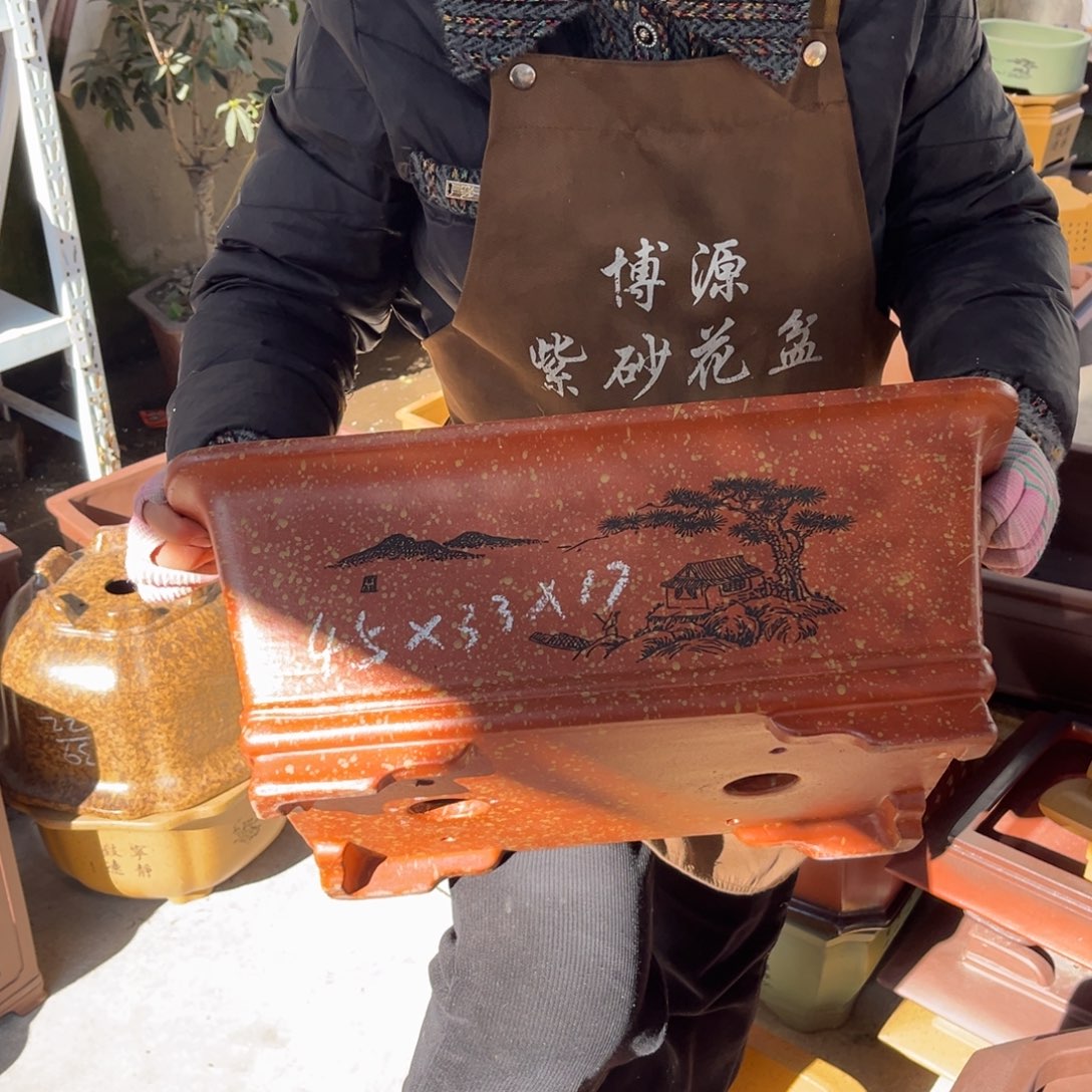 花盆紫砂盆景艺术