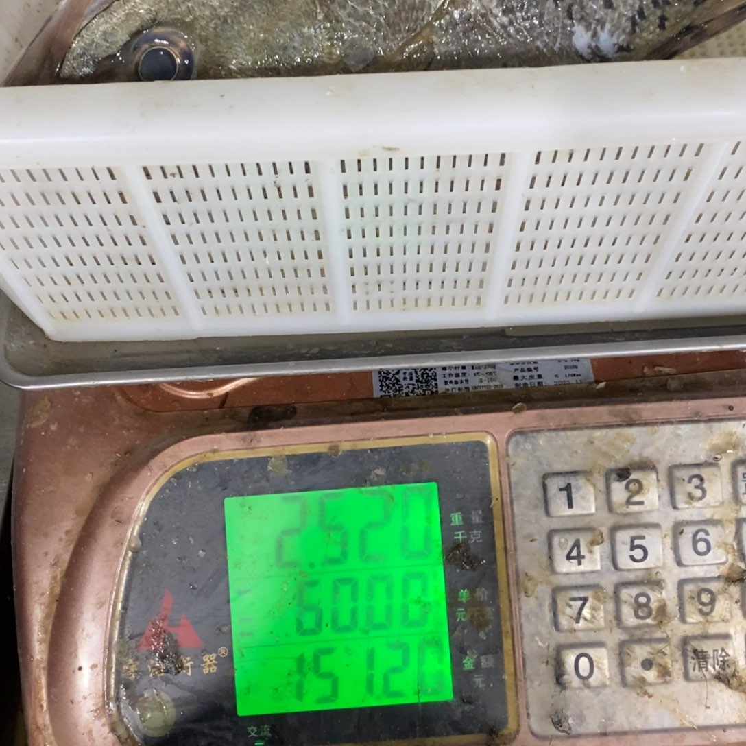 2.5公斤，海卢鱼收拾干净