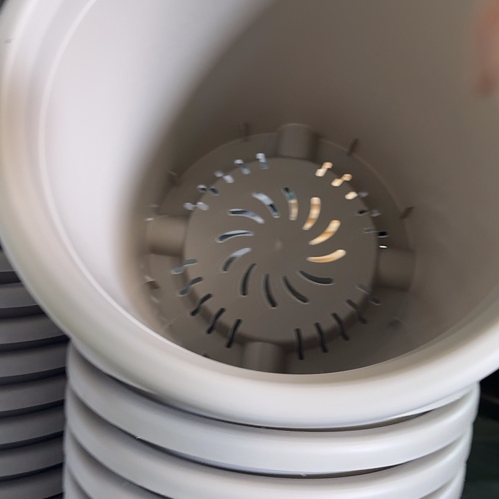 四季8号灰白无托5个微瑕特价