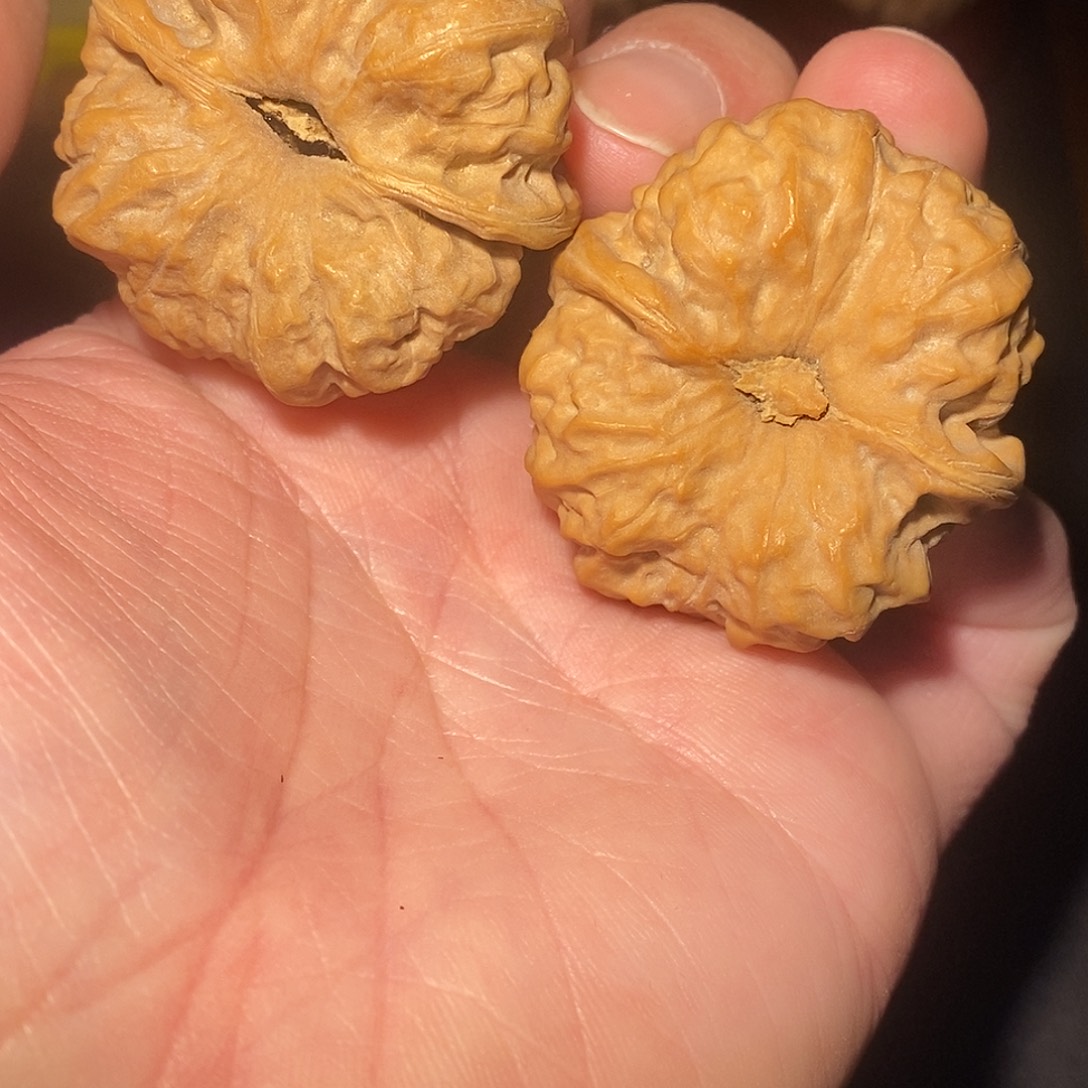 6***g吊坠文玩核桃Anyang