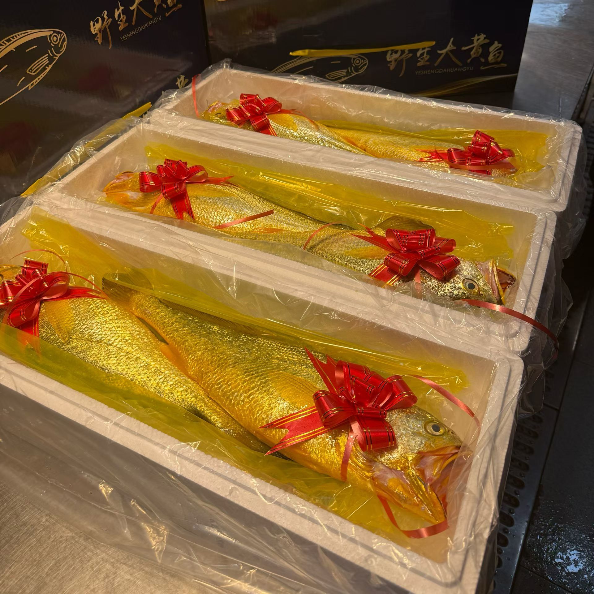 【野生大黄鱼】浙江舟山海钓黄花鱼海钓品质黄鱼新鲜水产