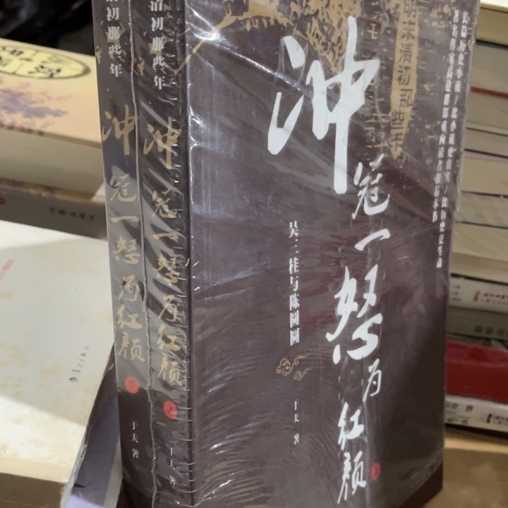 冲冠一怒为红颜上下册