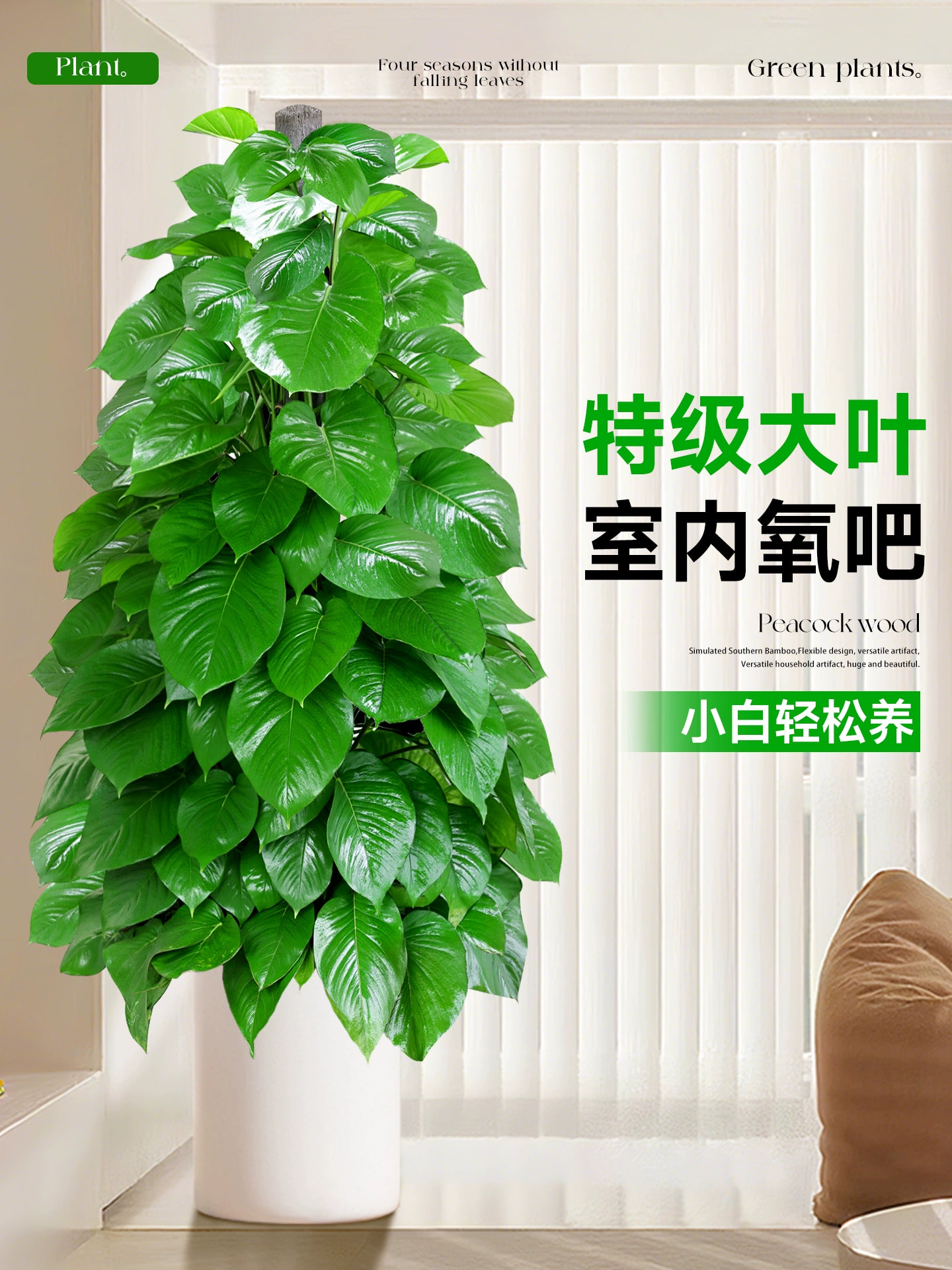 【送货上门】1.3 - 1.5米绿萝柱盆栽室内绿植净化空气好养活