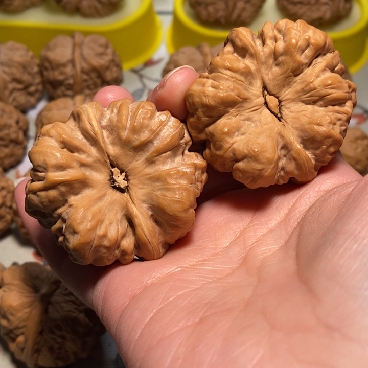 文玩核桃把件东**叶蛙蛙45