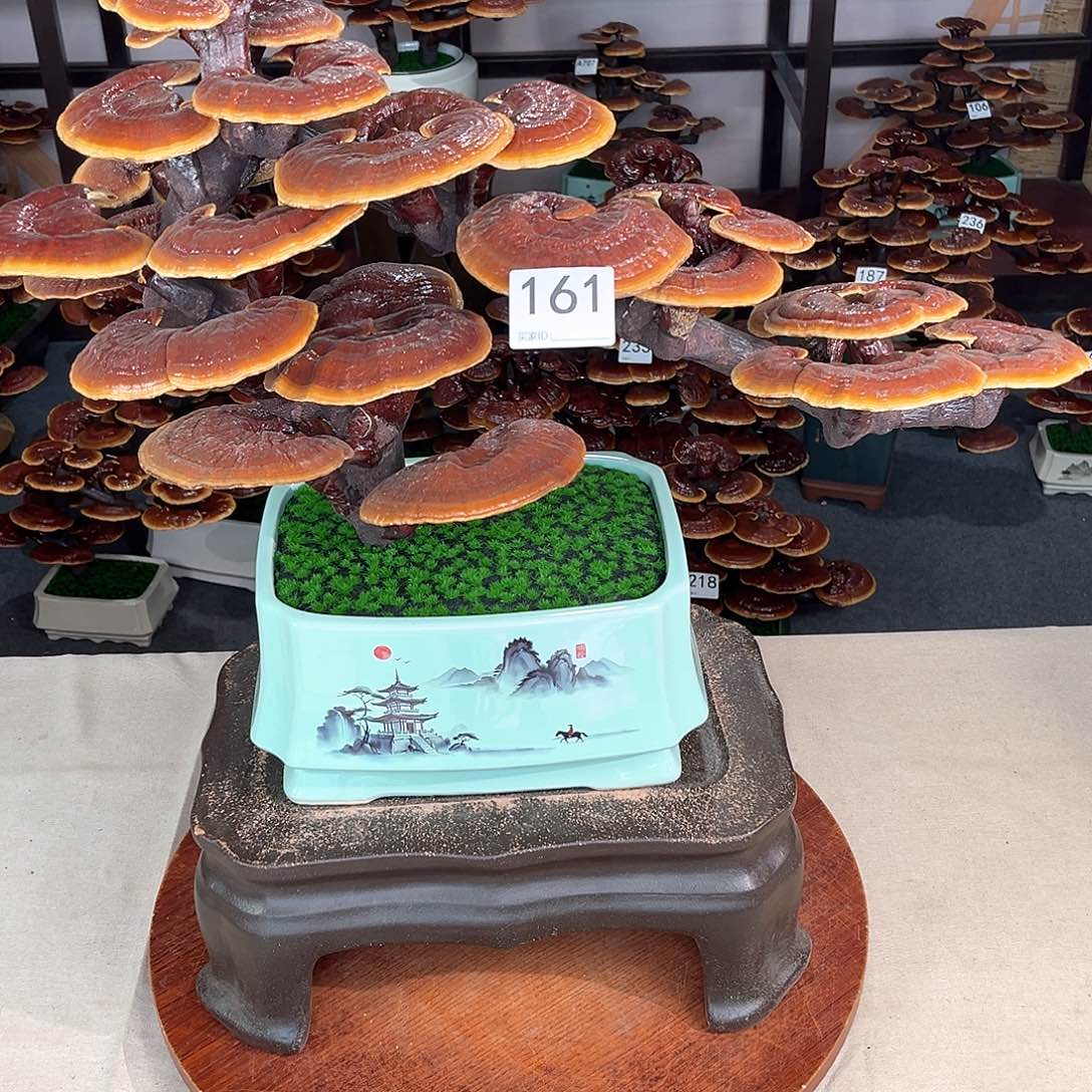 万事如意88888161