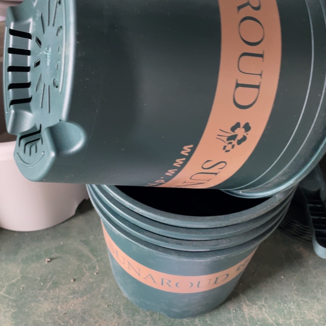 编号是28号的28号的