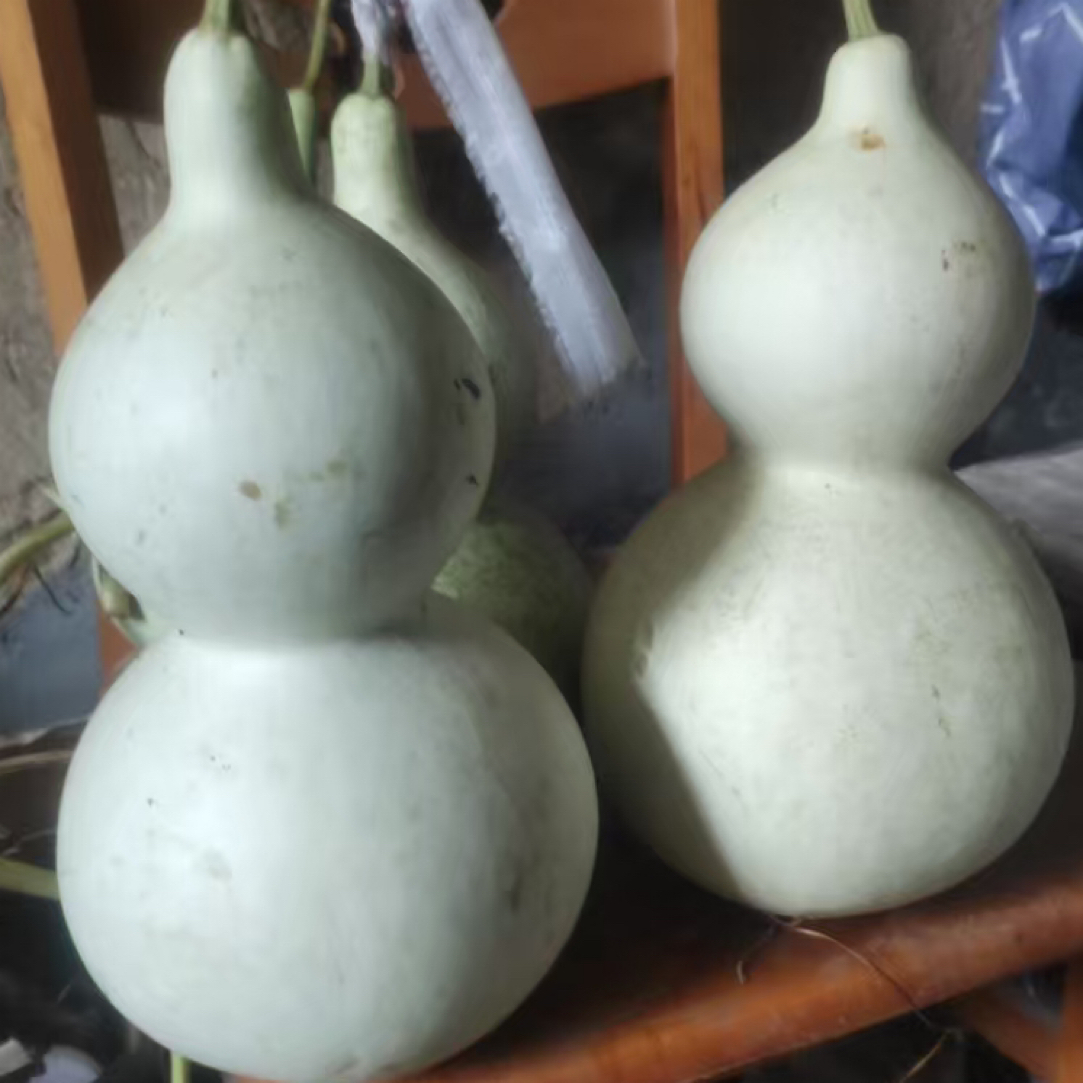 八宝长嘴葫芦铁皮