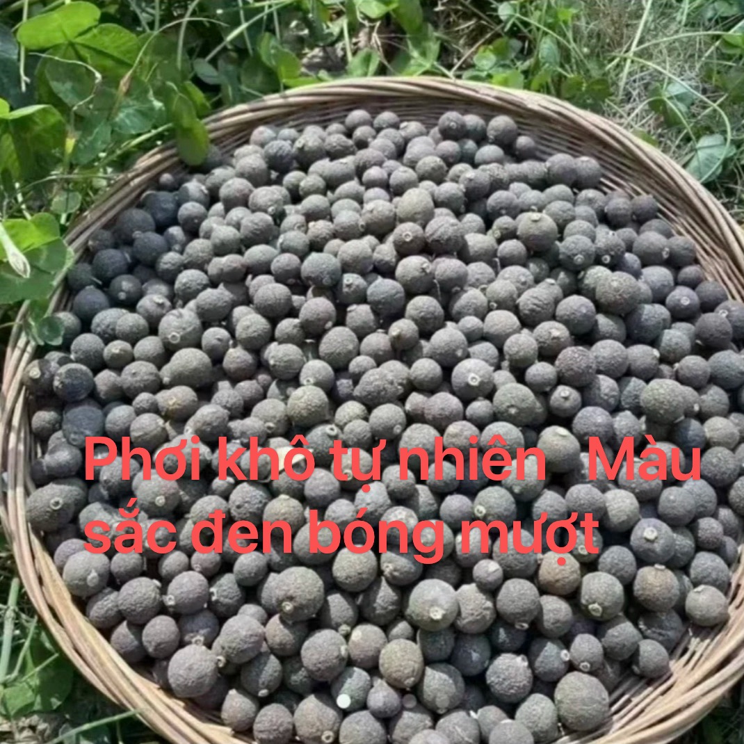 越南主播甄选高山高海拔小柑胎500克 xy专属 