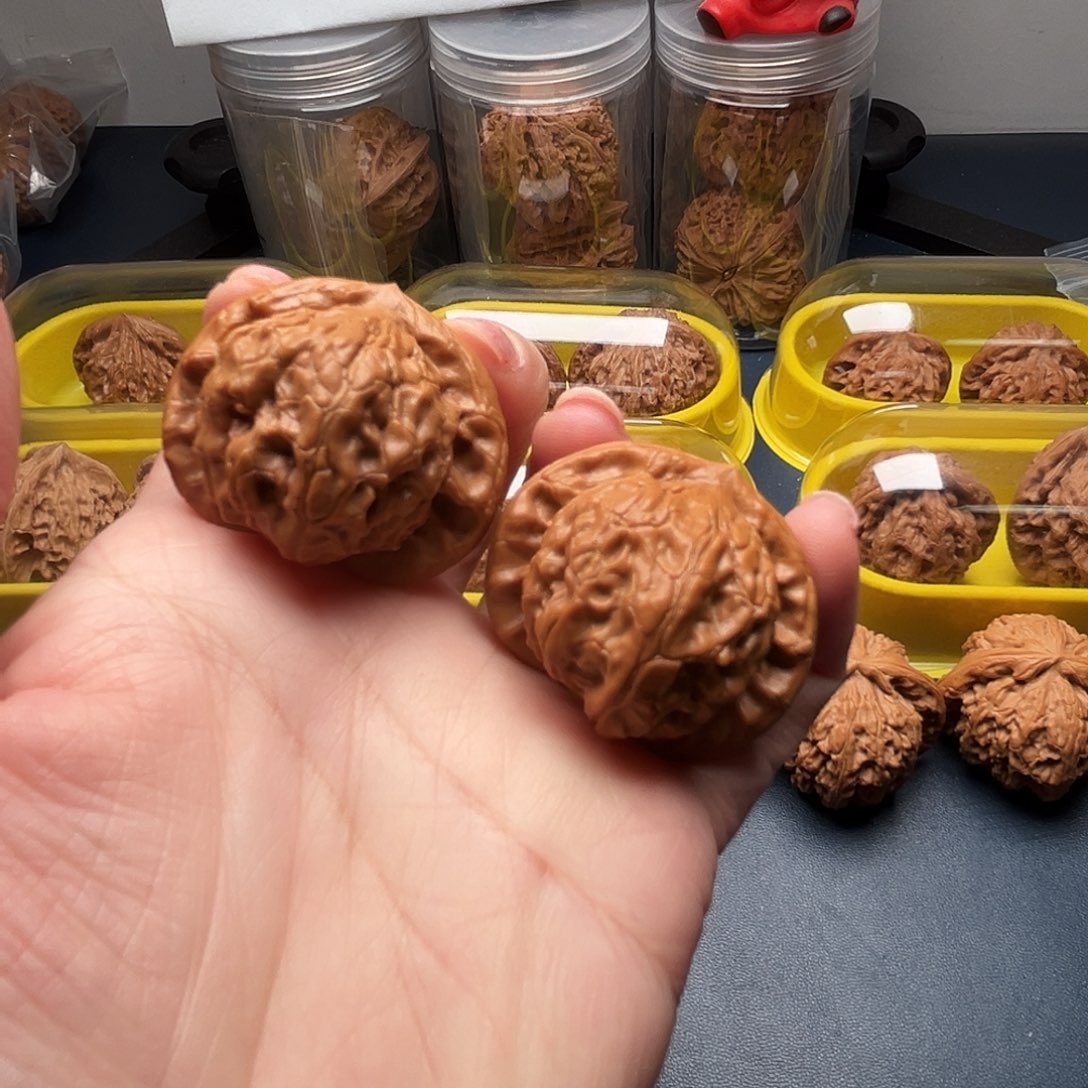 核桃37尺寸大耳朵图图