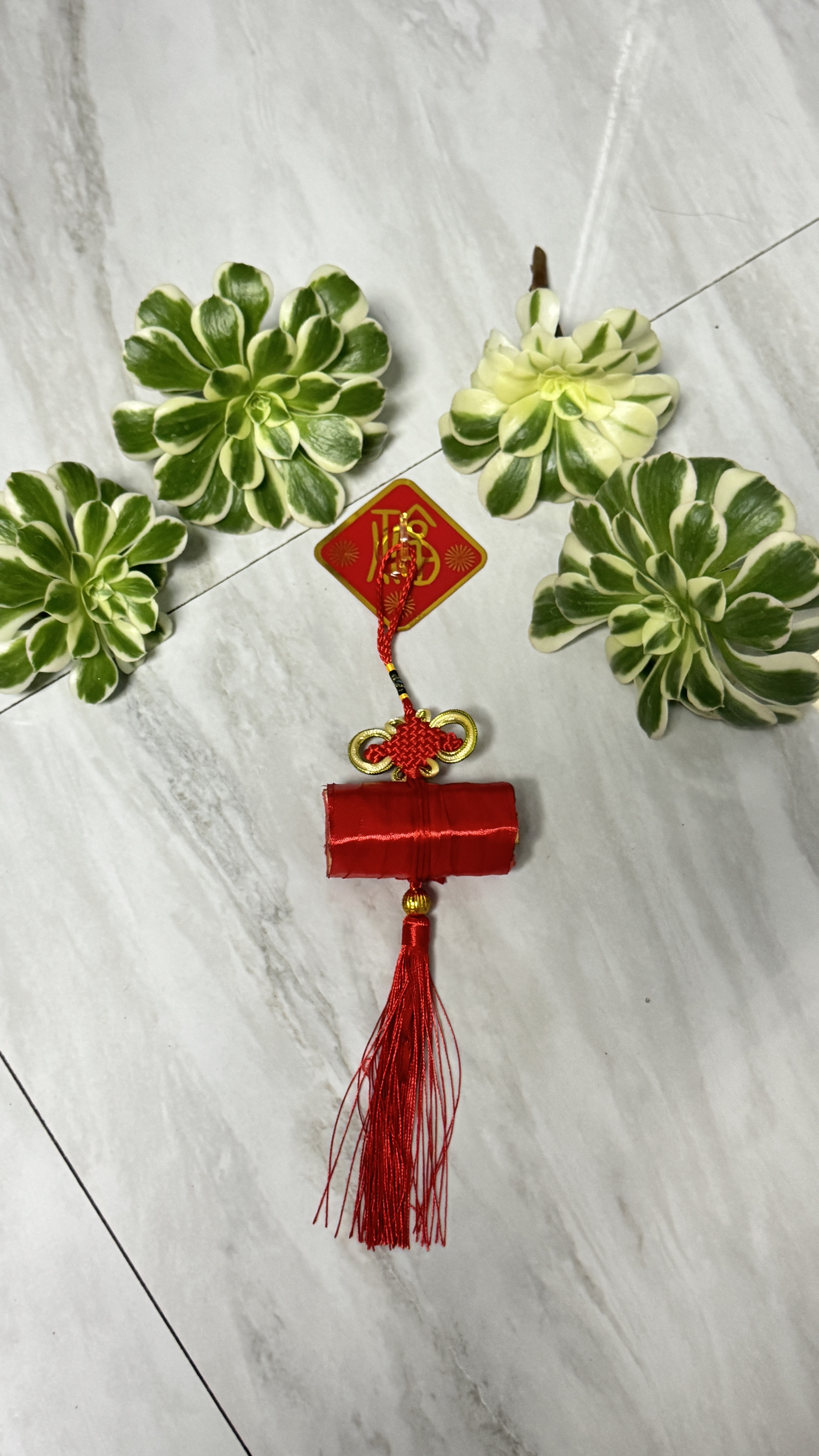 朱砂款 中国结 七根东南枝 挂件 