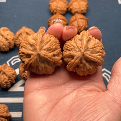 橄榄核手串/手链文山三棱41全品