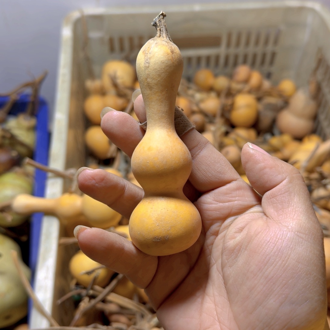 吕***布长嘴小八宝葫芦！葫芦摆件