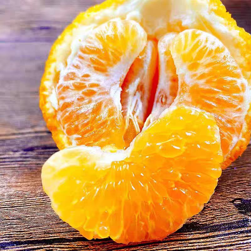 【只发新疆】四川春见耙耙柑礼盒发货乌市九鼎直发