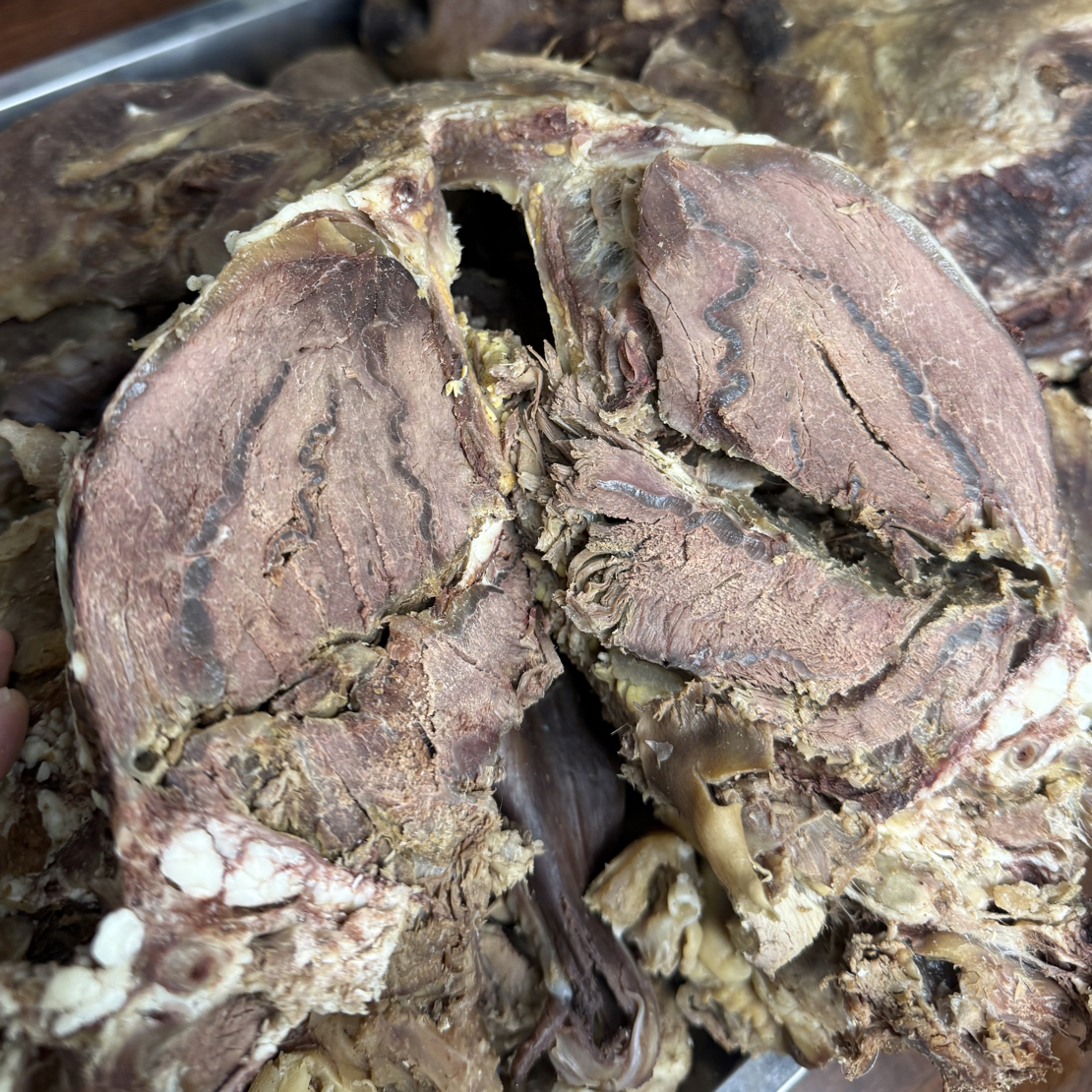 清真五香牛头肉（净重5斤）