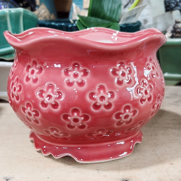 陶瓷花盆17/11……花盆