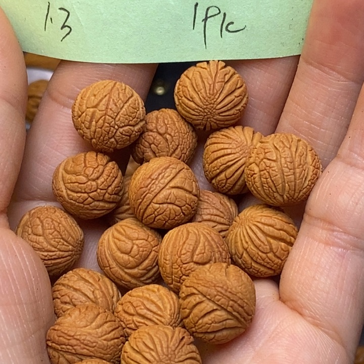 吊坠桃核秦岭龙纹桃核13尺寸