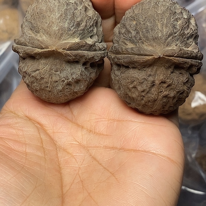 把件文玩核桃云南铁核桃11