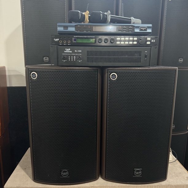 9新  鼎泰丰GAE进口RCF单元12寸音响四件套