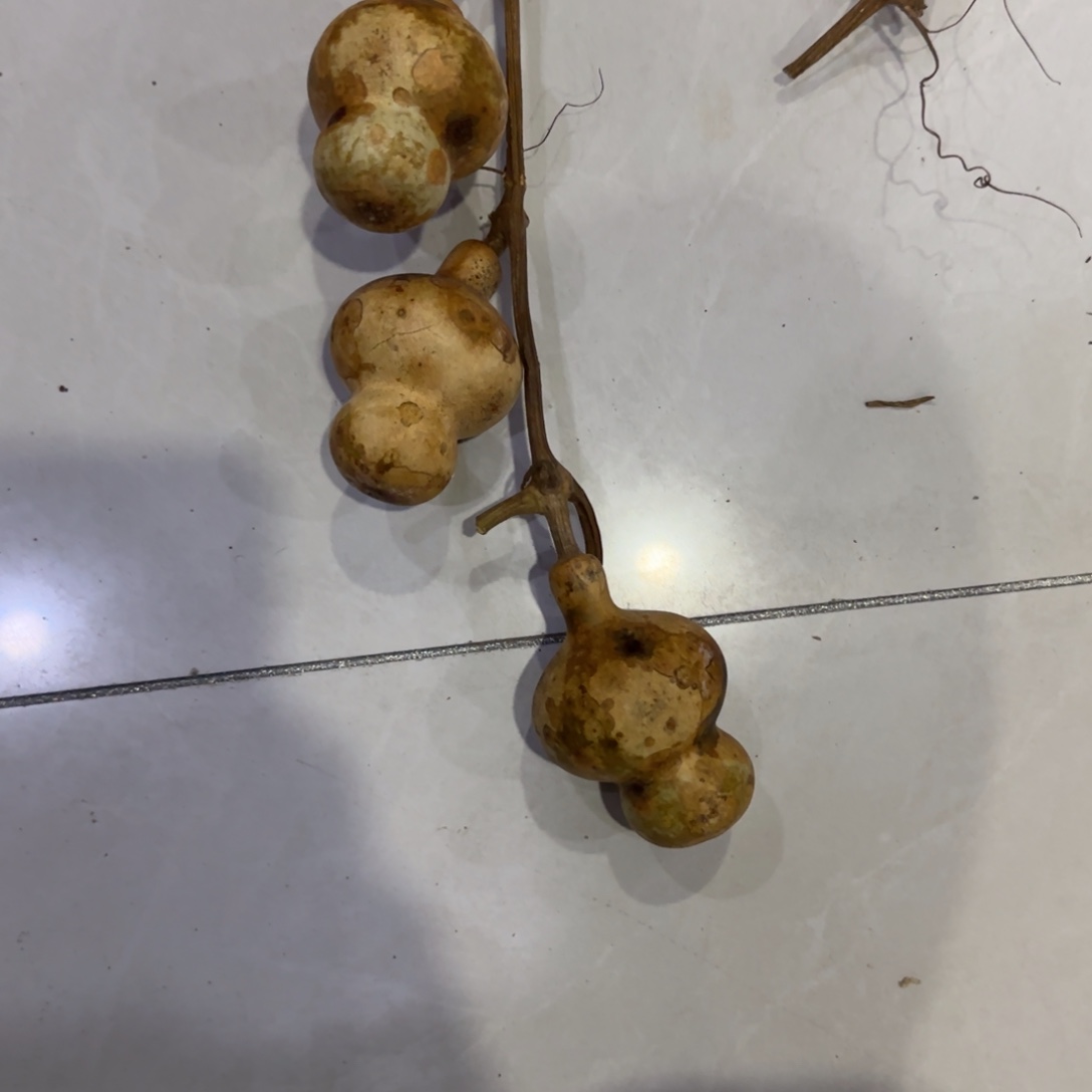 龙***哥葫芦港汇广场金港国际价格高