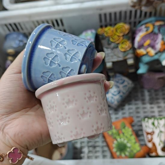 当场拍满15元包邮发货，金额不够发泡沫不发花盆，不凑单真亏钱请别