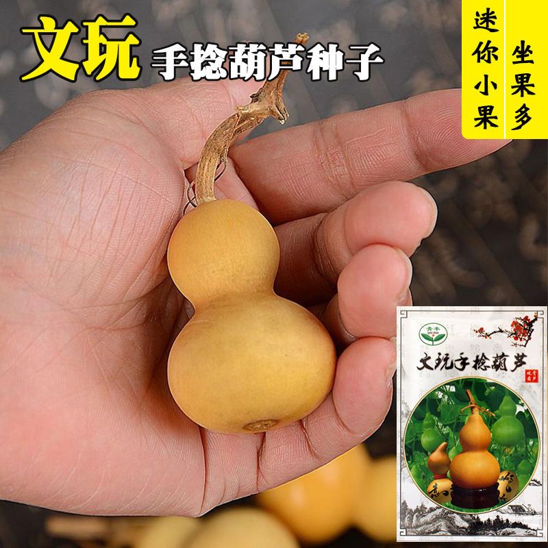 当季新品】天手捻小葫芦种子文玩把玩手玩带龙头手把件招财真葫芦