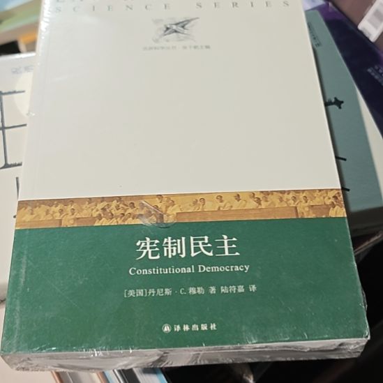 宪制民主平装库存书