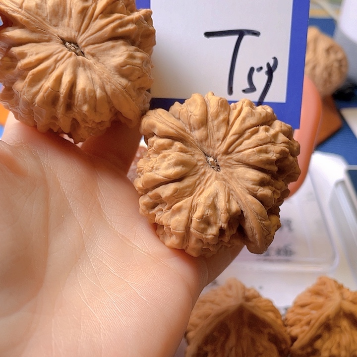 文玩核桃把件行**哥文玩核桃59