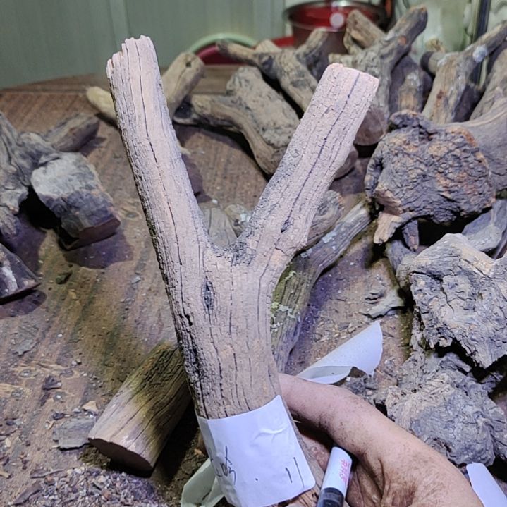 龙***吟火琉璃原杈不保沉水慎拍！