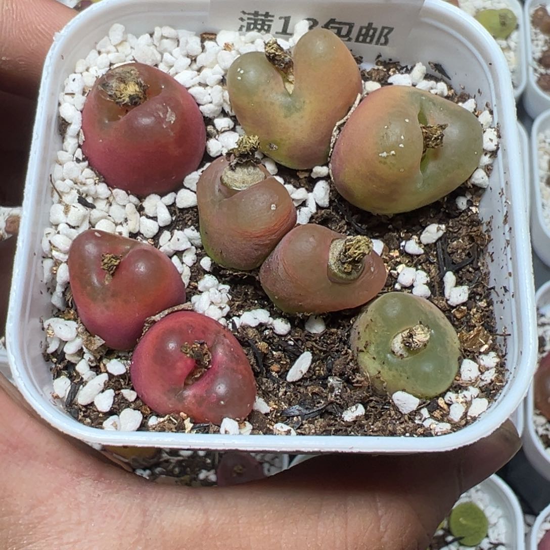 【闪购商品】 348。     