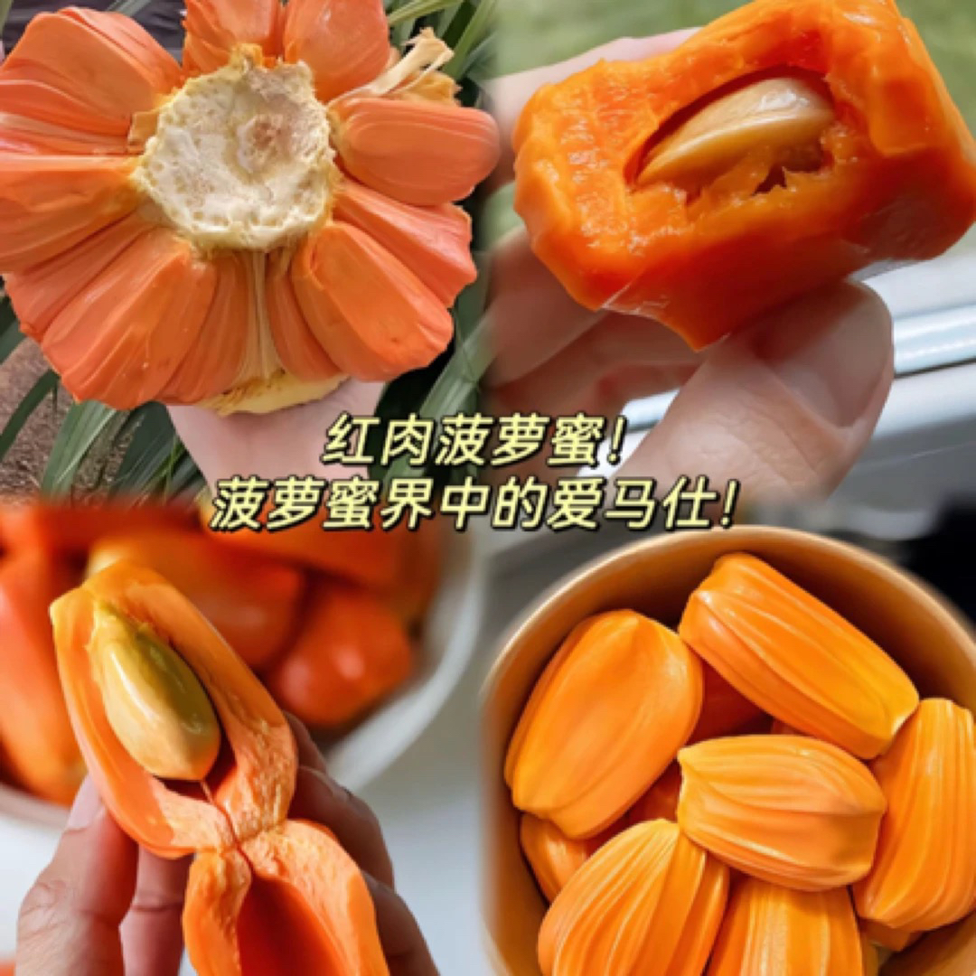 印尼红菠萝蜜 Q弹脆嫩 热带新鲜应季菠萝蜜 39.9元/斤