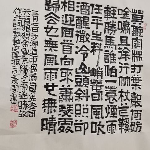 胡***杨书法定风波斗方隶书。。。。