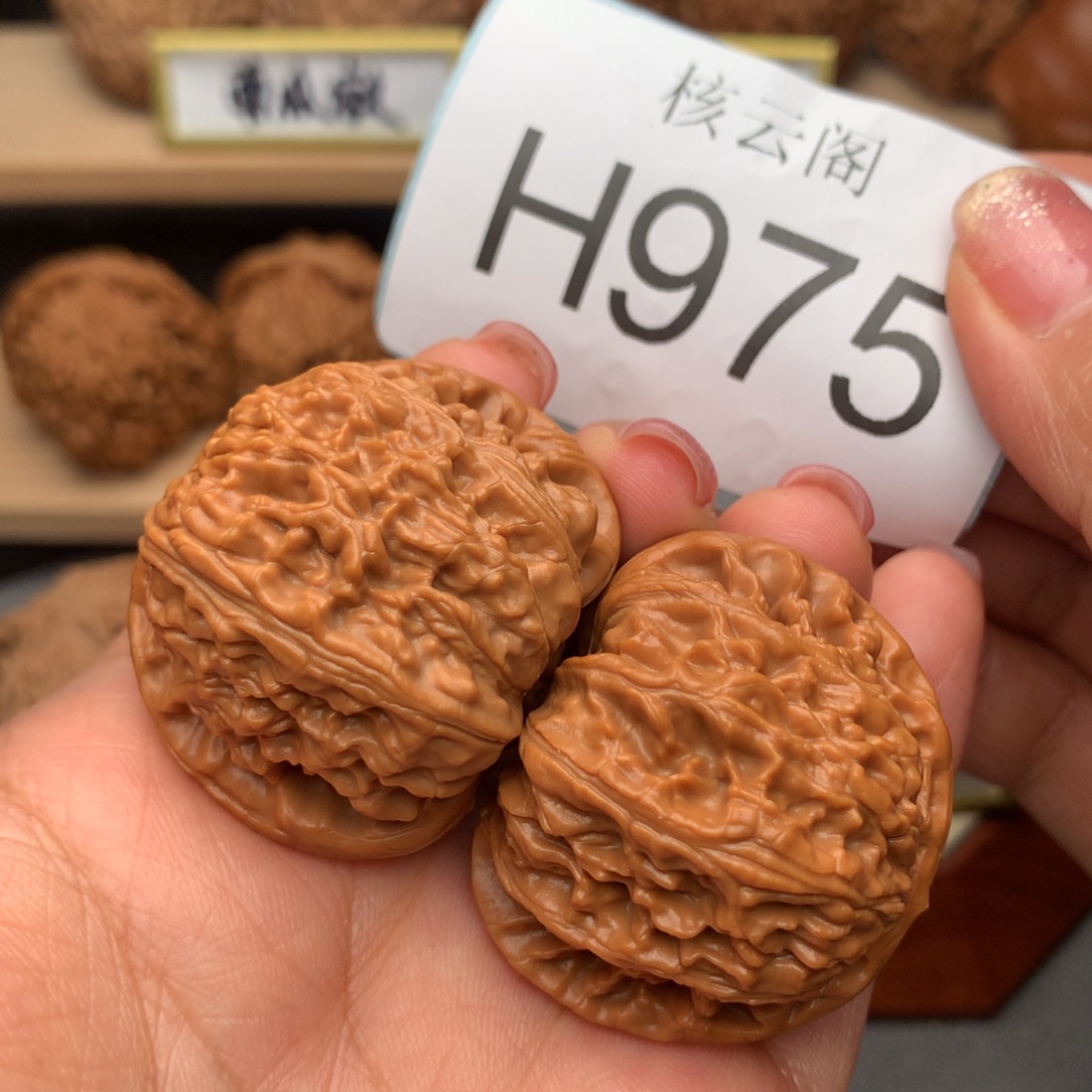 南***熊把件文玩核桃40球白