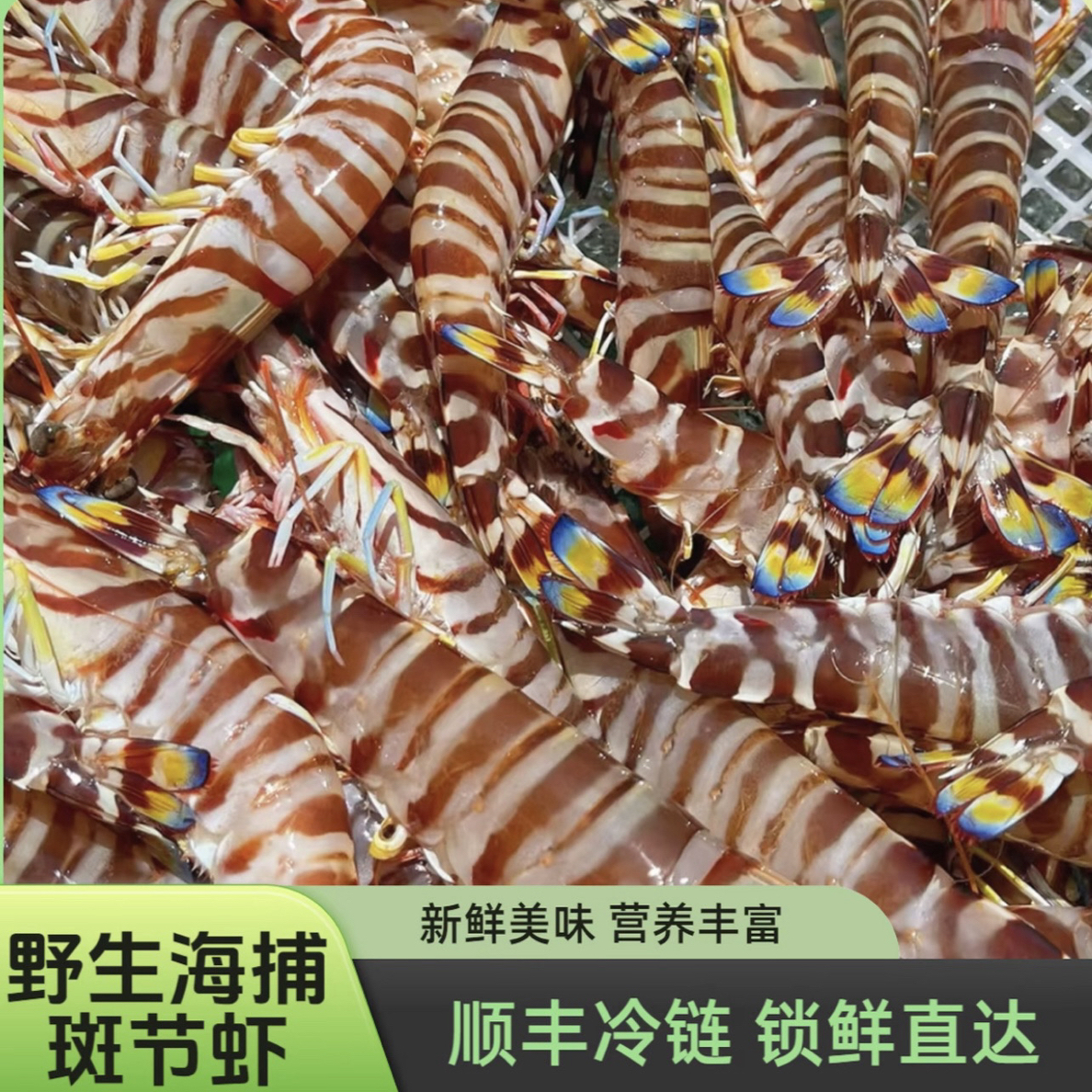 纯天然野生A级班节虾九节虾花虾现货现发