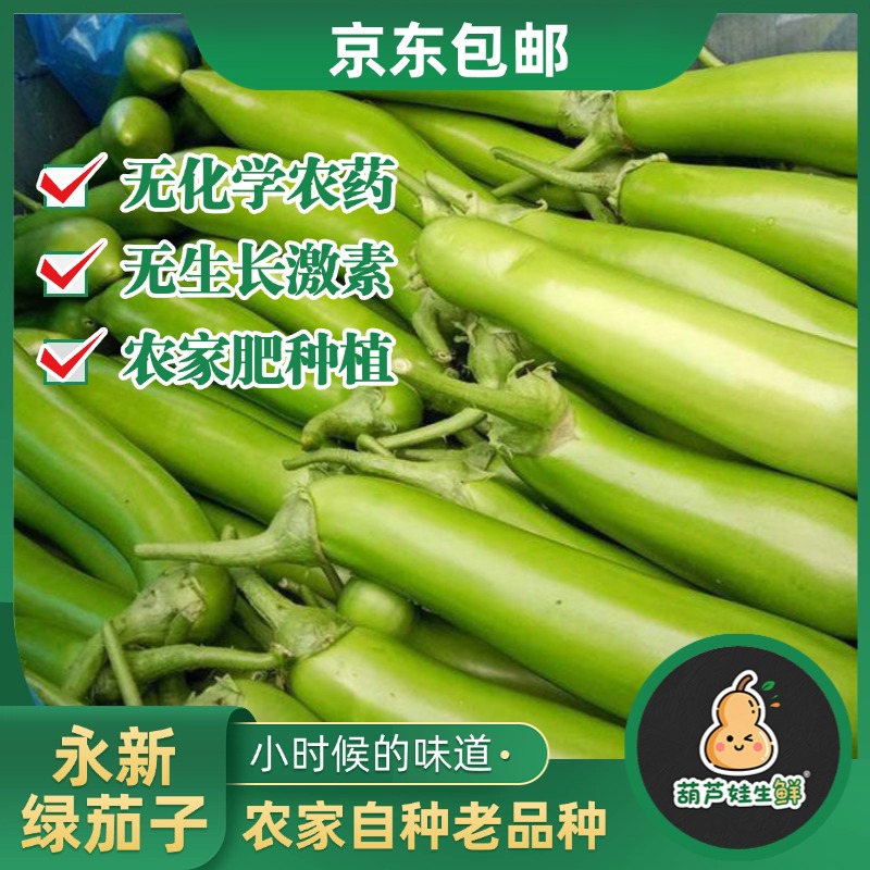 【绿长茄子】永新本地嫩茄子新鲜青茄子农家茄子新鲜茄子当季新鲜